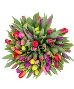 mix barevných tulipánů